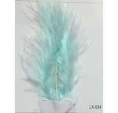 Пір'я 034