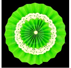Веер № 0924-63 с жемчугом  40 см. салатовый